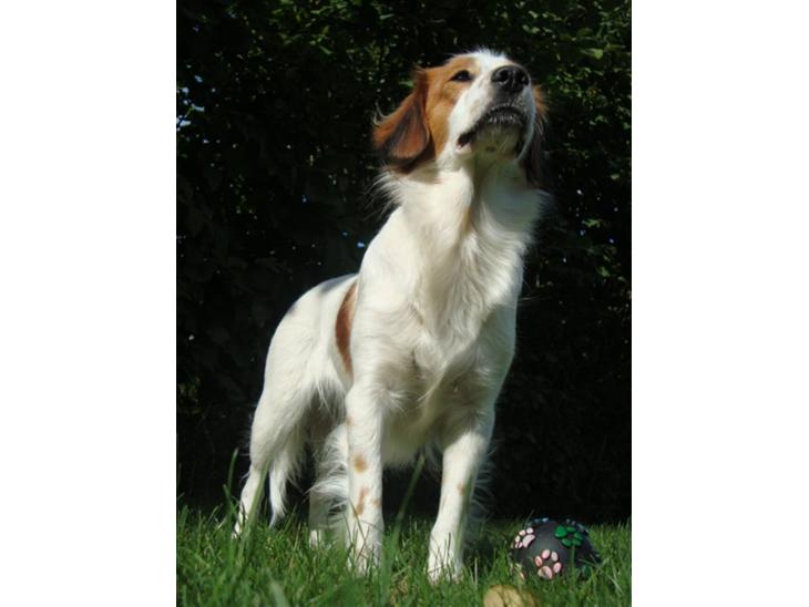 {{currentPhoto.altText}} billede {{currentPhoto.number}}