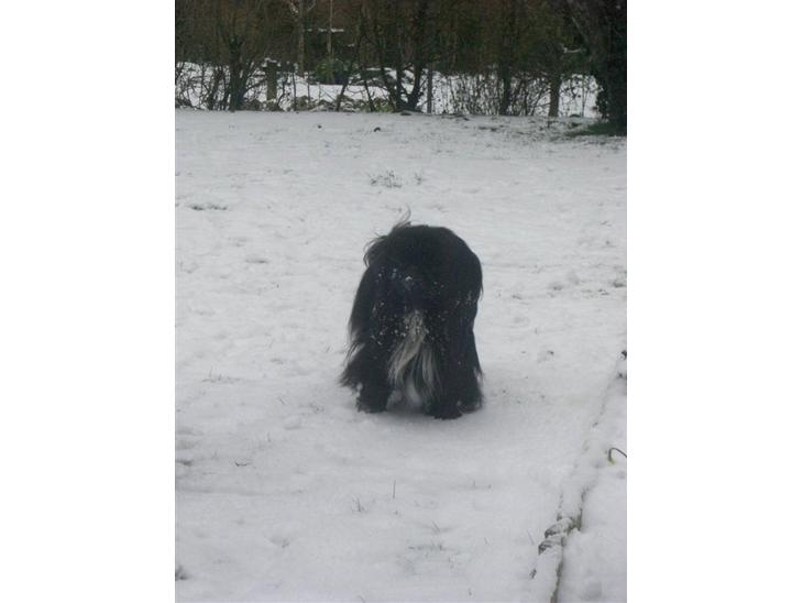 {{currentPhoto.altText}} billede {{currentPhoto.number}}