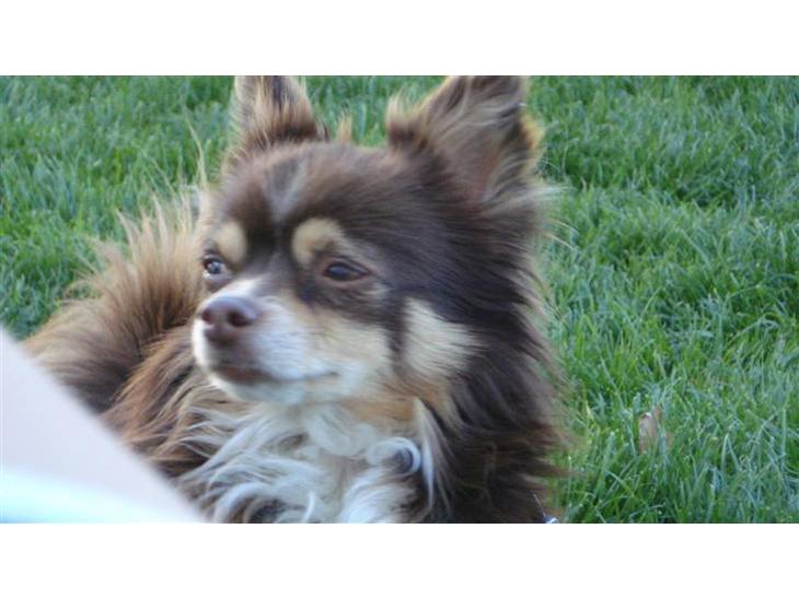 {{currentPhoto.altText}} billede {{currentPhoto.number}}