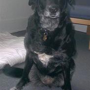 Blanding af racer Juvel