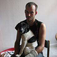 Blanding af racer Rocky