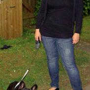 Fransk bulldog Dauløkke's Jimon-Jaré 