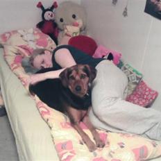 Blanding af racer Snøvsen (Mors hund)