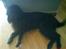 Blanding af racer Silly Sally - slappe af og posere er det bedste