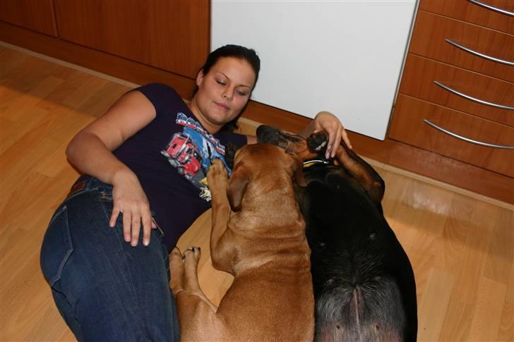 Boerboel RATHMANNS RED WUBA billede 7