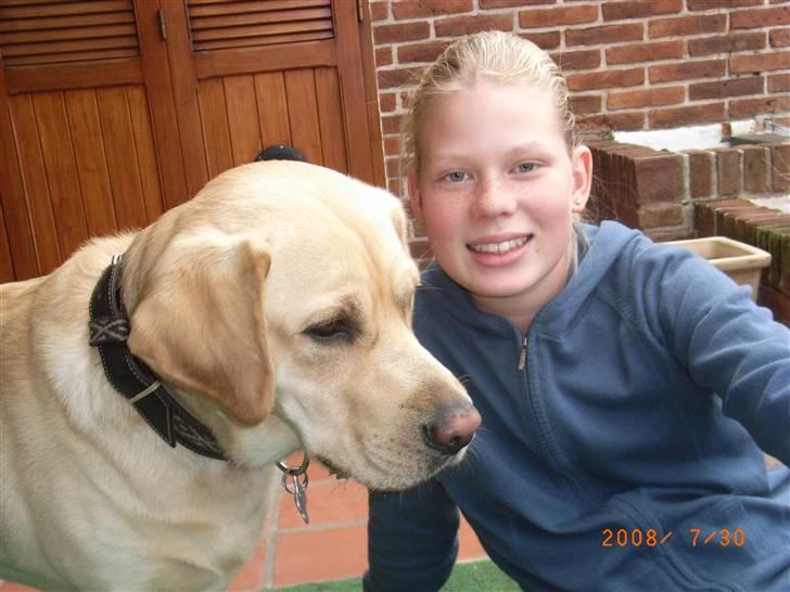 Labrador retriever Moro - Moro og jeg er bare de bedste venner!!!  billede 7