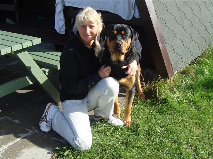 Rottweiler Rambo - død 22.12.08 billede 11