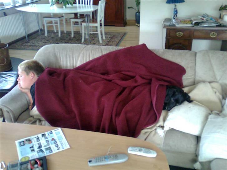 Blanding af racer Blackie*RIP* - Er det dét man kalder råhygge ? billede 14