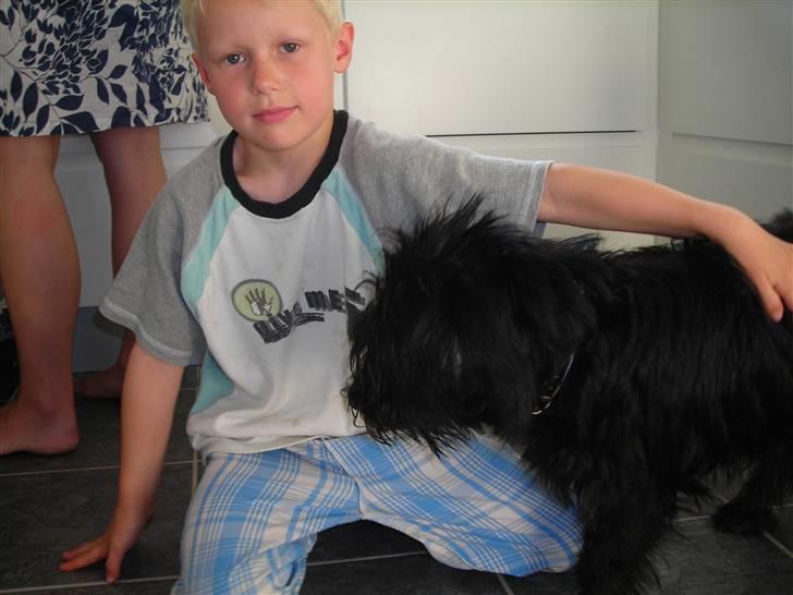 Blanding af racer Zico - Phillip og Zico. billede 9