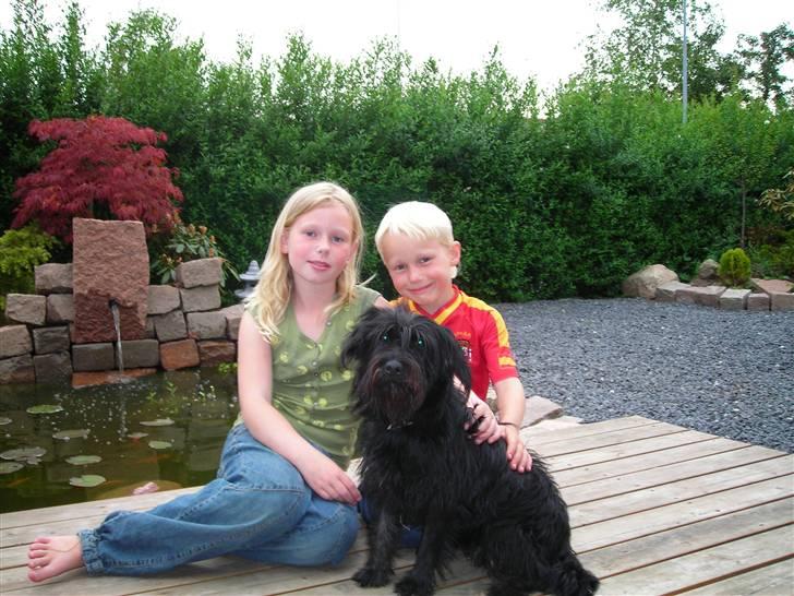 Blanding af racer Zico - Natja, Phillip og Zico. billede 10