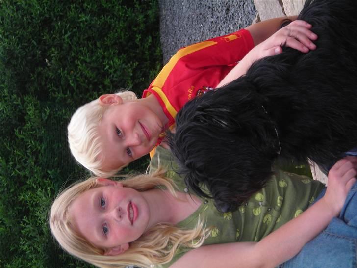 Blanding af racer Zico billede 11