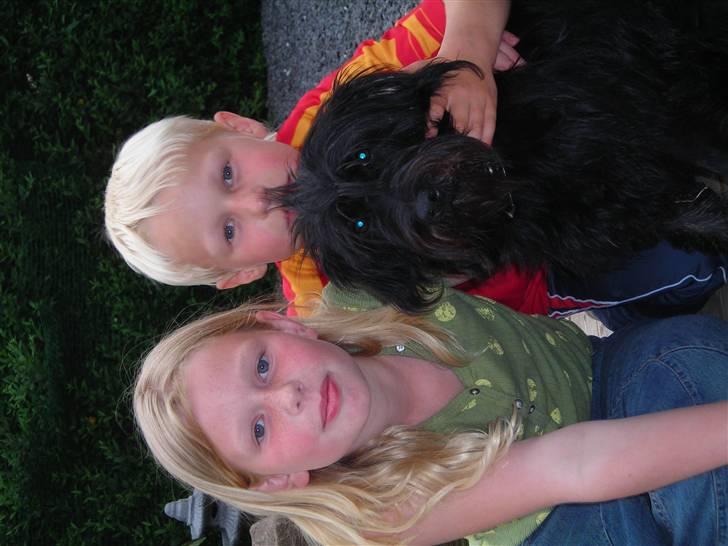 Blanding af racer Zico billede 12