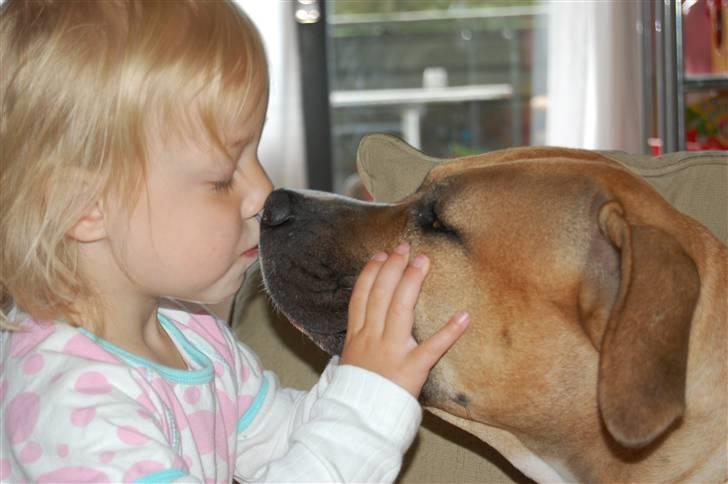 Blanding af racer Ciska.  - Vanessa og Ciska møsser. foto; HN-Foto.  billede 2