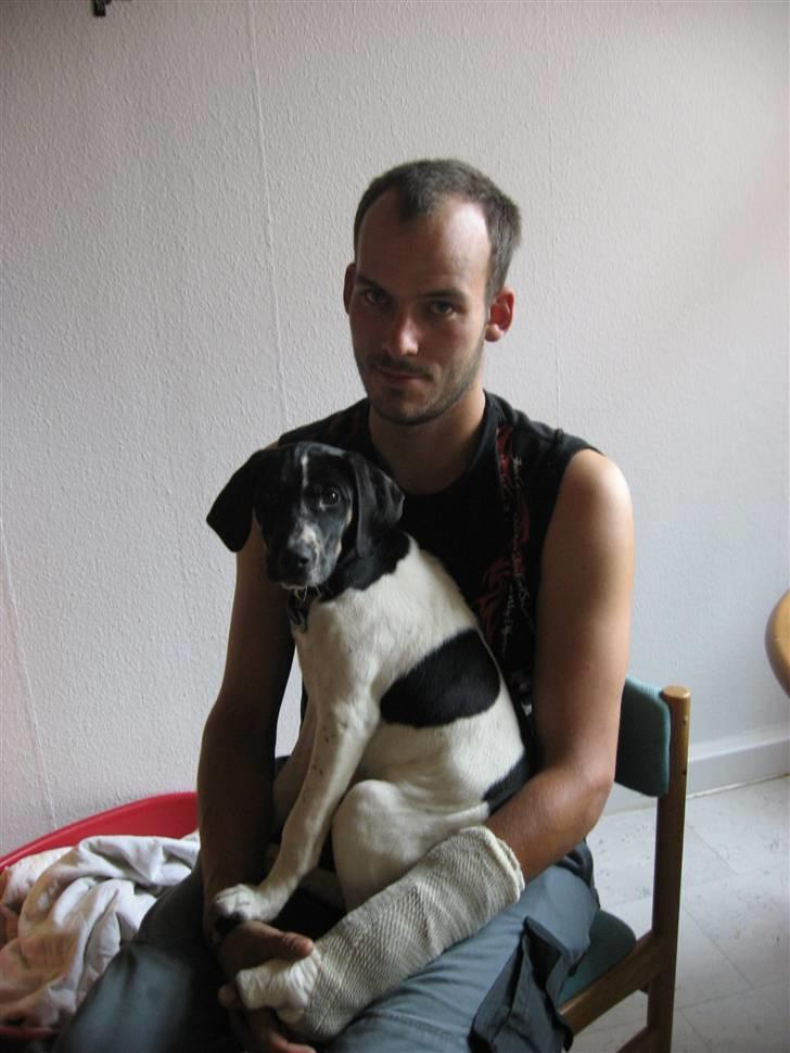 Blanding af racer Rocky - Rocky og Hans far  billede 4