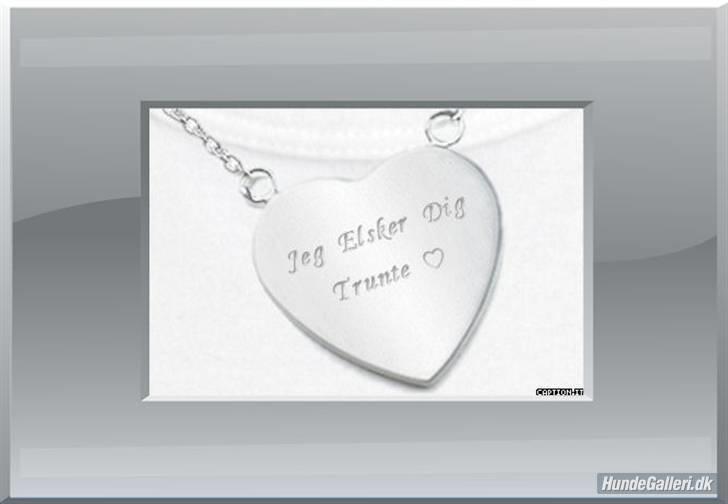 Blanding af racer R.I.P. Trunte - i love you min gamle tøs <3 billede 20