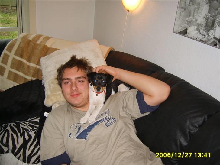 Blanding af racer fie billede 4