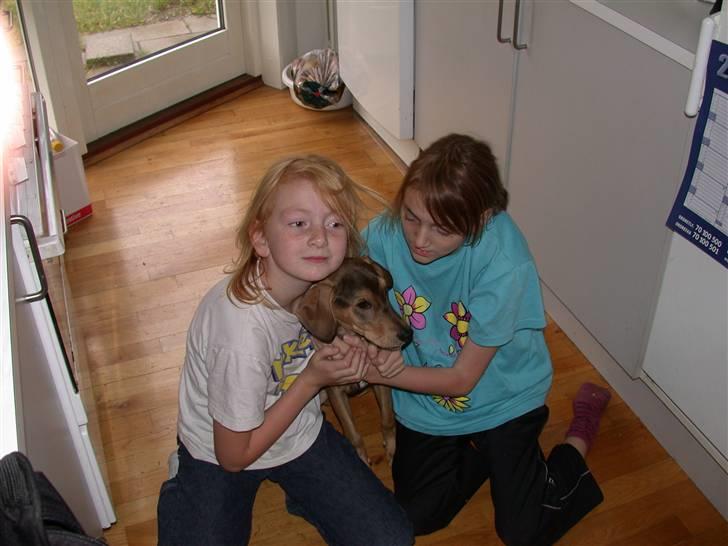 Blanding af racer Zorba DØD :( billede 1