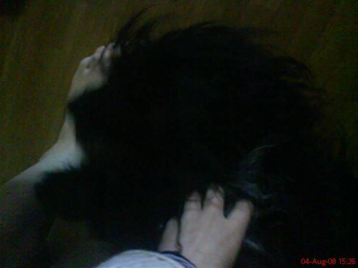 Blanding af racer Silly Sally billede 2