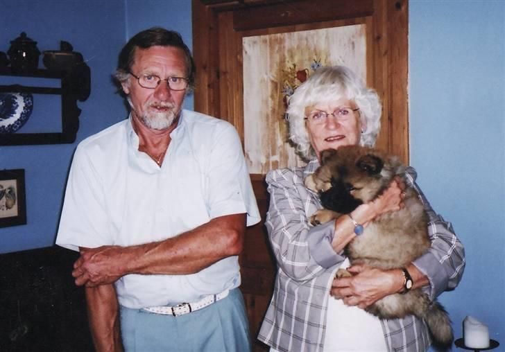 Chow chow Fuh-Thu-chow Inka-Rose - Inka-Rose bliver afhendes på Sjælland billede 12