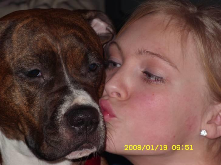 Blanding af racer Ticki  R.I.P billede 12