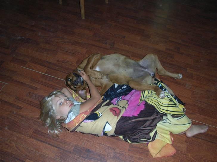 Blanding af racer Alana * Solgt * billede 11