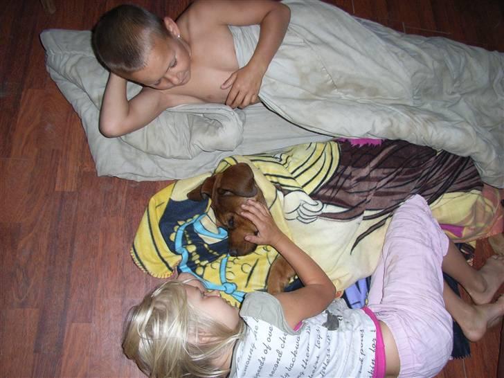 Blanding af racer Alana * Solgt * billede 12