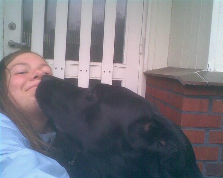 Blanding af racer Basse - Mig og Basse. Fjollet billede, I know ;D billede 13