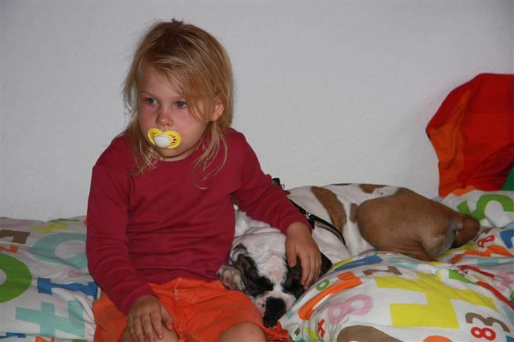 Blanding af racer ludvig - putte hos karoline billede 4