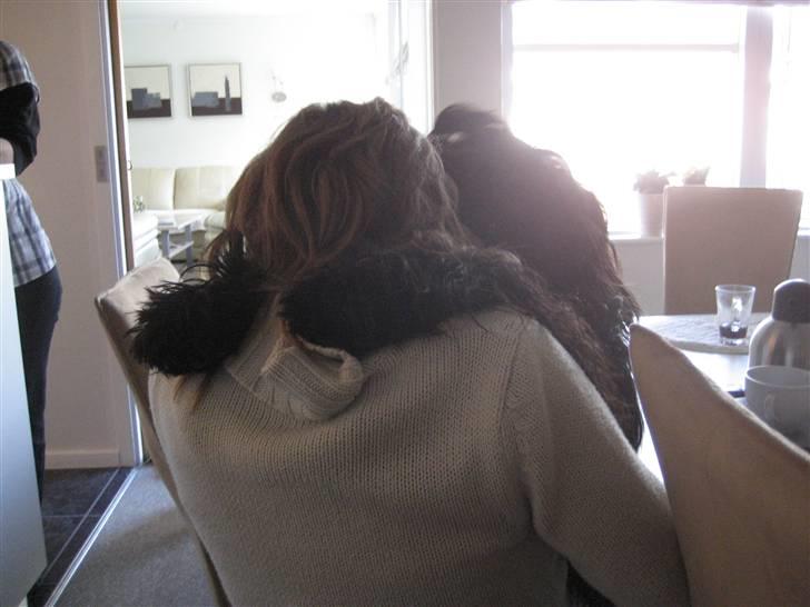 Briard Zita - Mig og mormor vi er bare så fode venner... billede 15