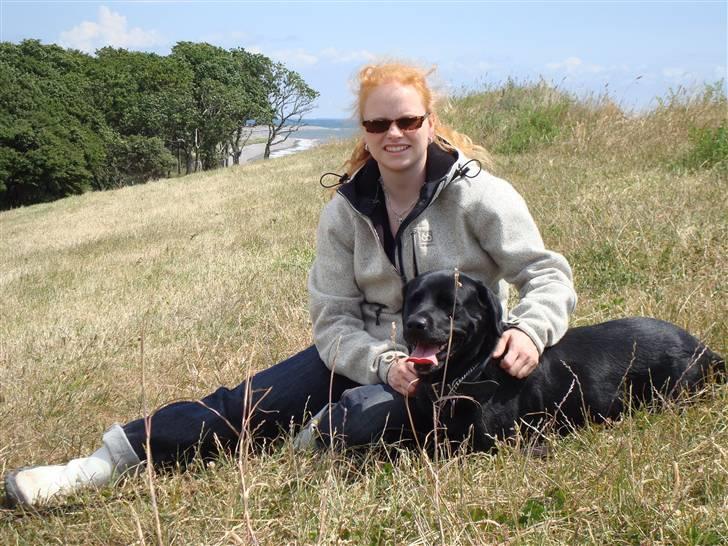 Labrador retriever Tanja - Mig og Tanja på sydspidsen af Langeland billede 19