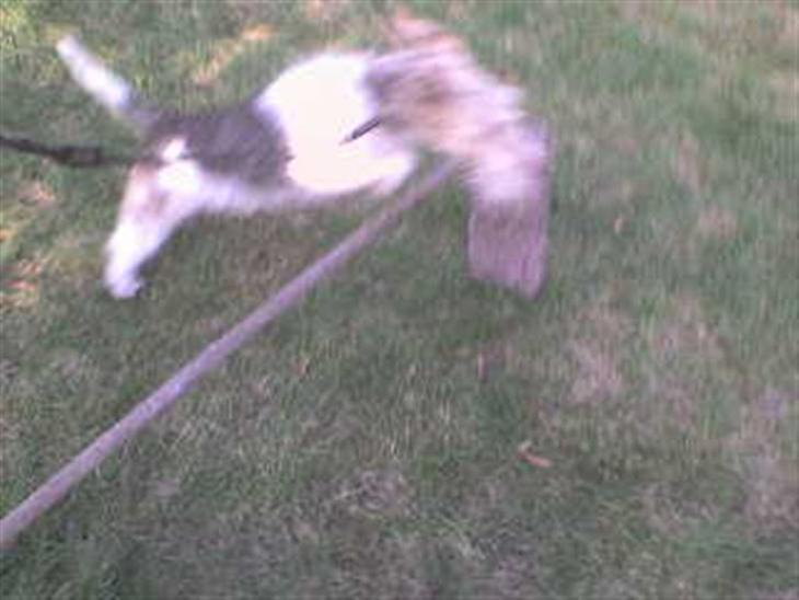 {{currentPhoto.altText}} billede {{currentPhoto.number}}