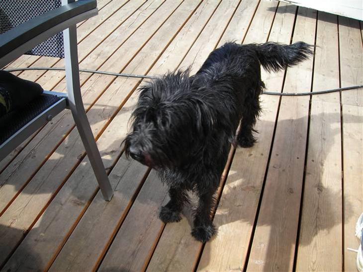 {{currentPhoto.altText}} billede {{currentPhoto.number}}