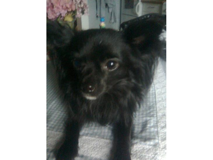 {{currentPhoto.altText}} billede {{currentPhoto.number}}