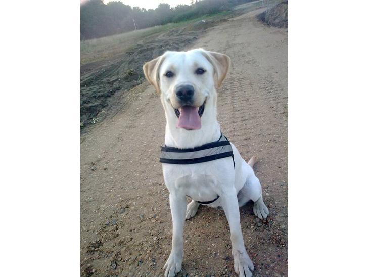 {{currentPhoto.altText}} billede {{currentPhoto.number}}