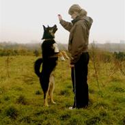 Blanding af racer Nala