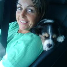 Blanding af racer Pongo