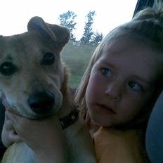 Blanding af racer Simba *solgt*