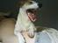 Jack russell terrier AaB - Maj 2008