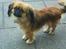 Blanding af racer Gizmo