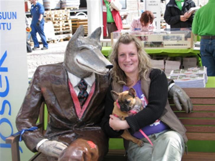 Fransk bulldog Anna - På vej tild Danmark, med sin madmor. billede 4