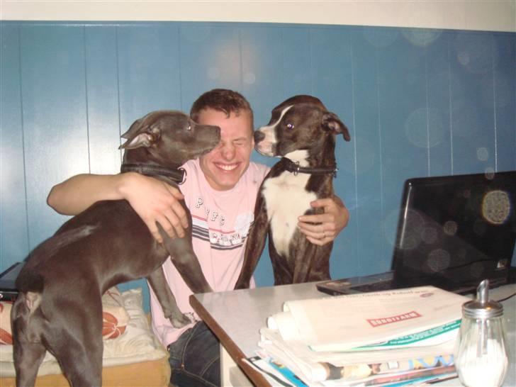 Blanding af racer Thor billede 7