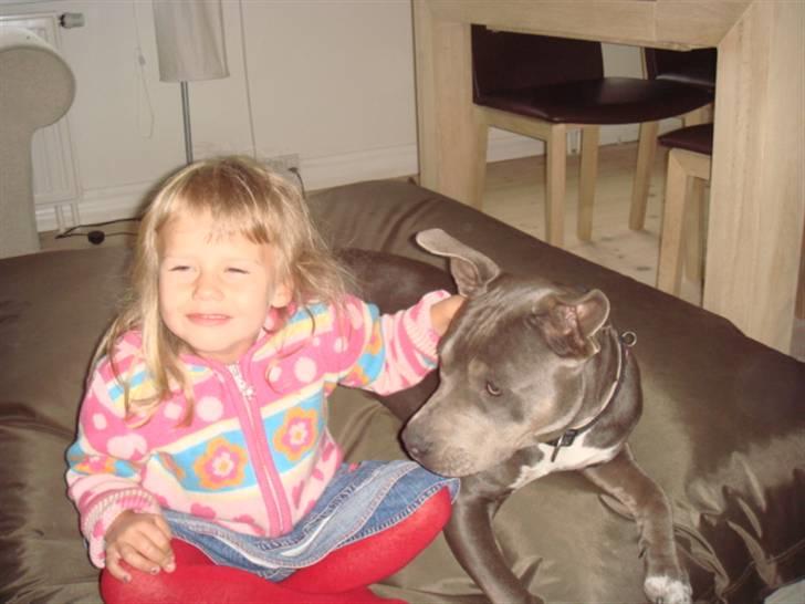 Blanding af racer Chika billede 15