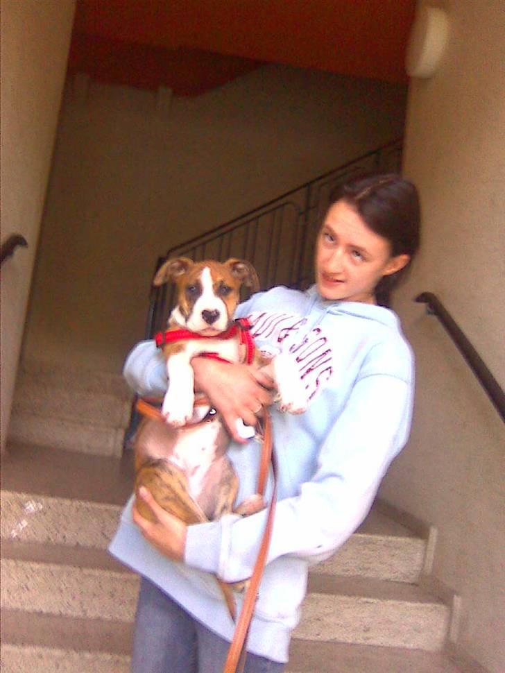 Blanding af racer Cassie - Her hænger jeg ved miin nye mor;) billede 13