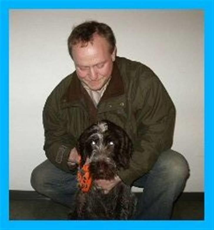 Ruhåret hønsehund Snedker´s Calli - Far og Calli til hvalpeaften, hun mødte sin søster men turde ikke rigtig gå hen til de andre hvalpe billede 9