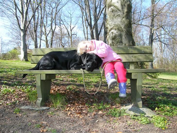 Blanding af racer Lady billede 1