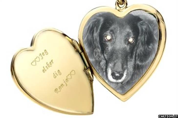 Blanding af racer Ronja - R.I.P † - Self betyder du noget for mig <3 billede 6