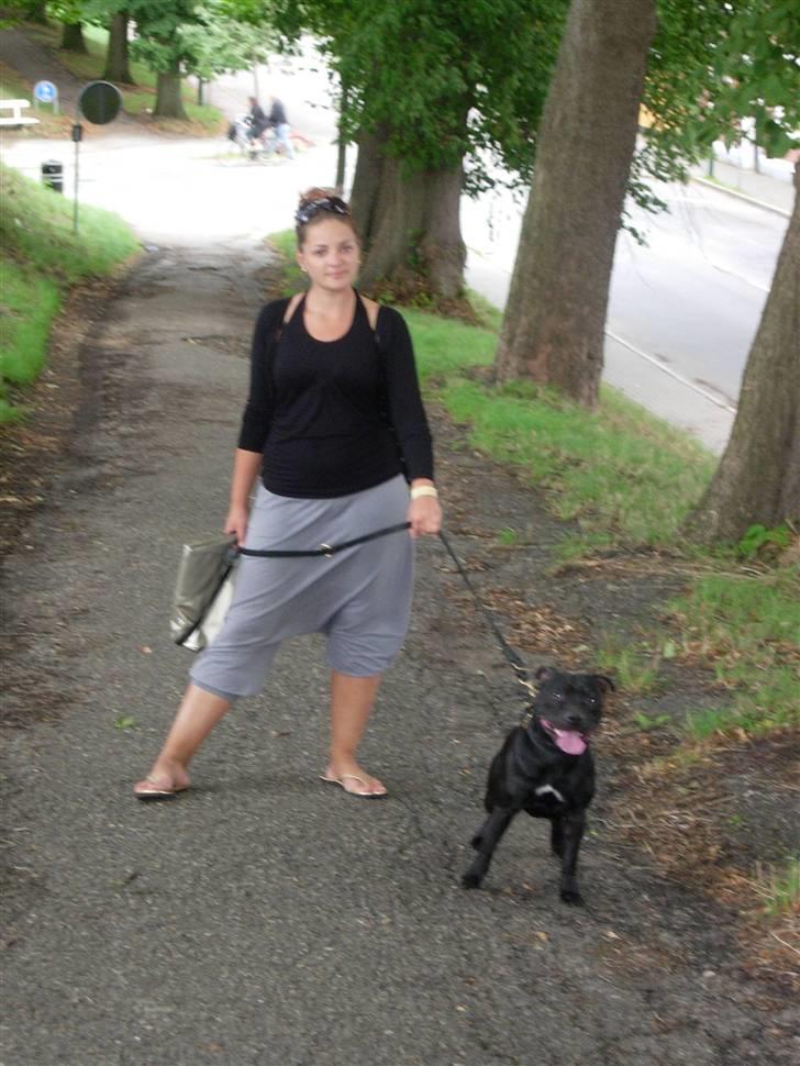 Staffordshire bull terrier Miclu - Mig og mor.. billede 18