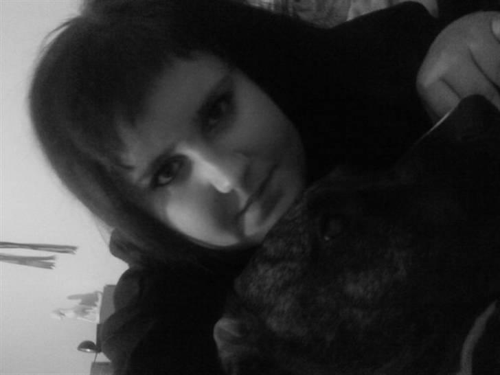 Blanding af racer Thyson billede 3