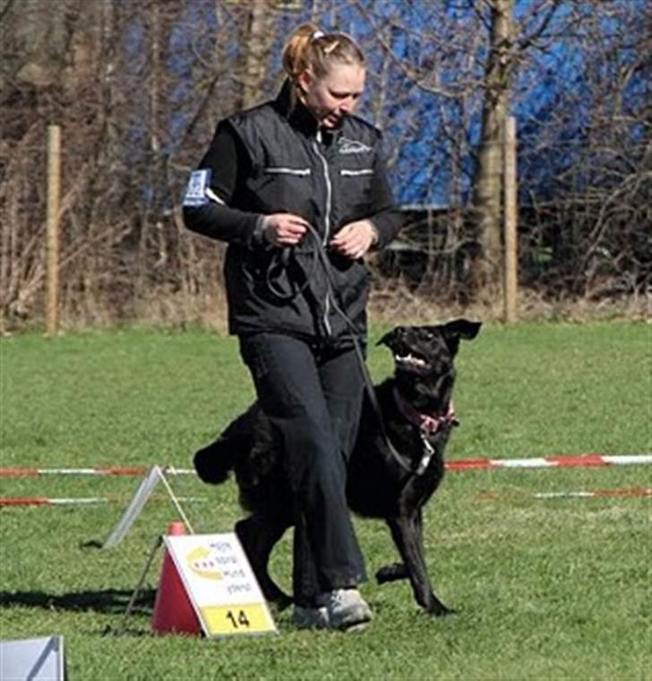 Blanding af racer Mayday - Mig og min lækkermås ven - Noah billede 14