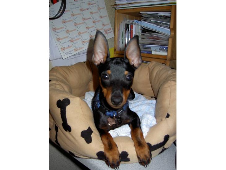 {{currentPhoto.altText}} billede {{currentPhoto.number}}